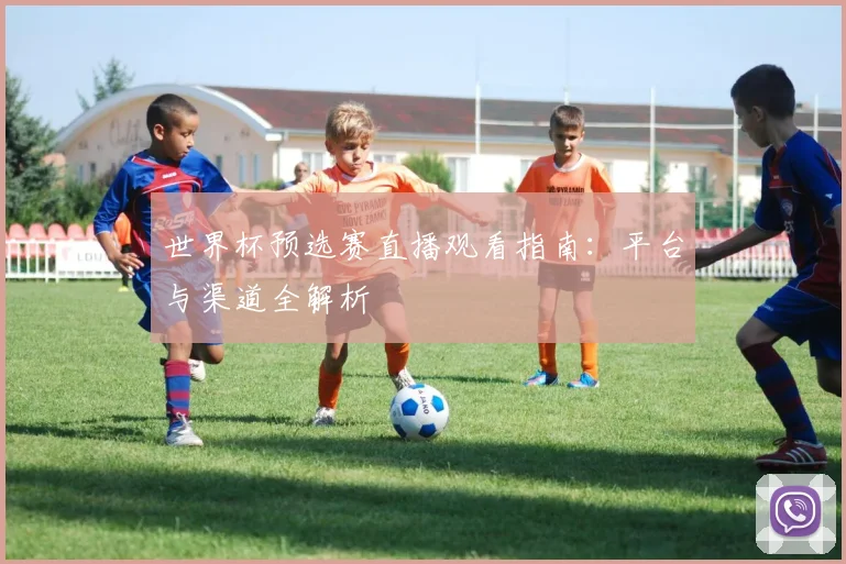 世界杯预选赛直播观看指南：平台与渠道全解析