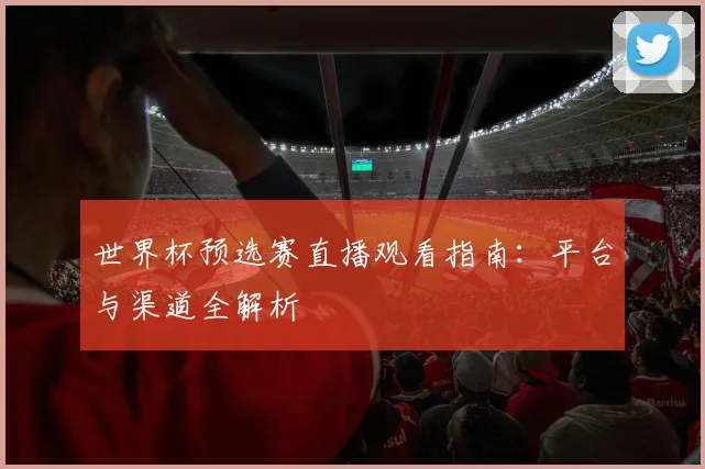 世界杯预选赛直播观看指南：平台与渠道全解析