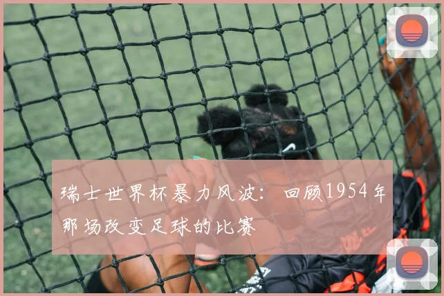 瑞士世界杯暴力风波:回顾1954年那场改变足球的比赛