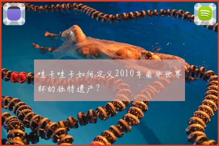 哇卡哇卡如何定义2010年南非世界杯的独特遗产？