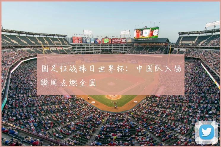 国足征战韩日世界杯:中国队入场瞬间点燃全国