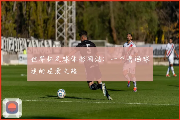 世界杯足球体彩网站：一个普通球迷的逆袭之路